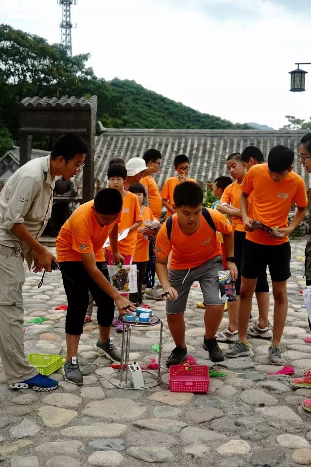 虎很多孩子选择在开学前来这里避暑不朽情缘首页面对来势汹汹的秋老(图4)